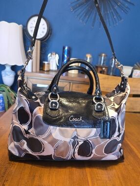 Coach Ashley Drawn Scarf Print Bag